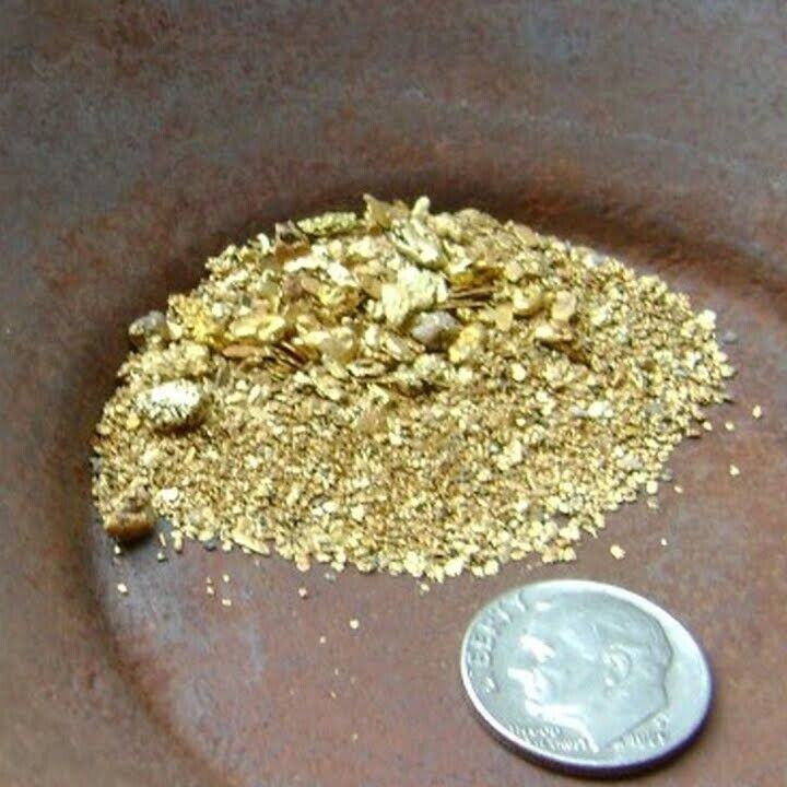 Experience the Ultimate Treasure Hunt with our Premium GOLD Paydirt Concentrates