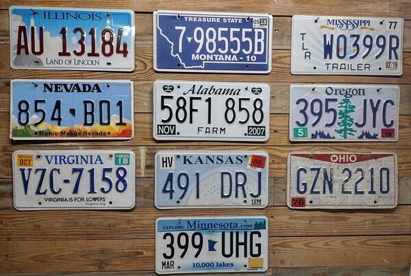 Variety of 10 expired 2013 Mixed State craft condition License Plate  AU 13184