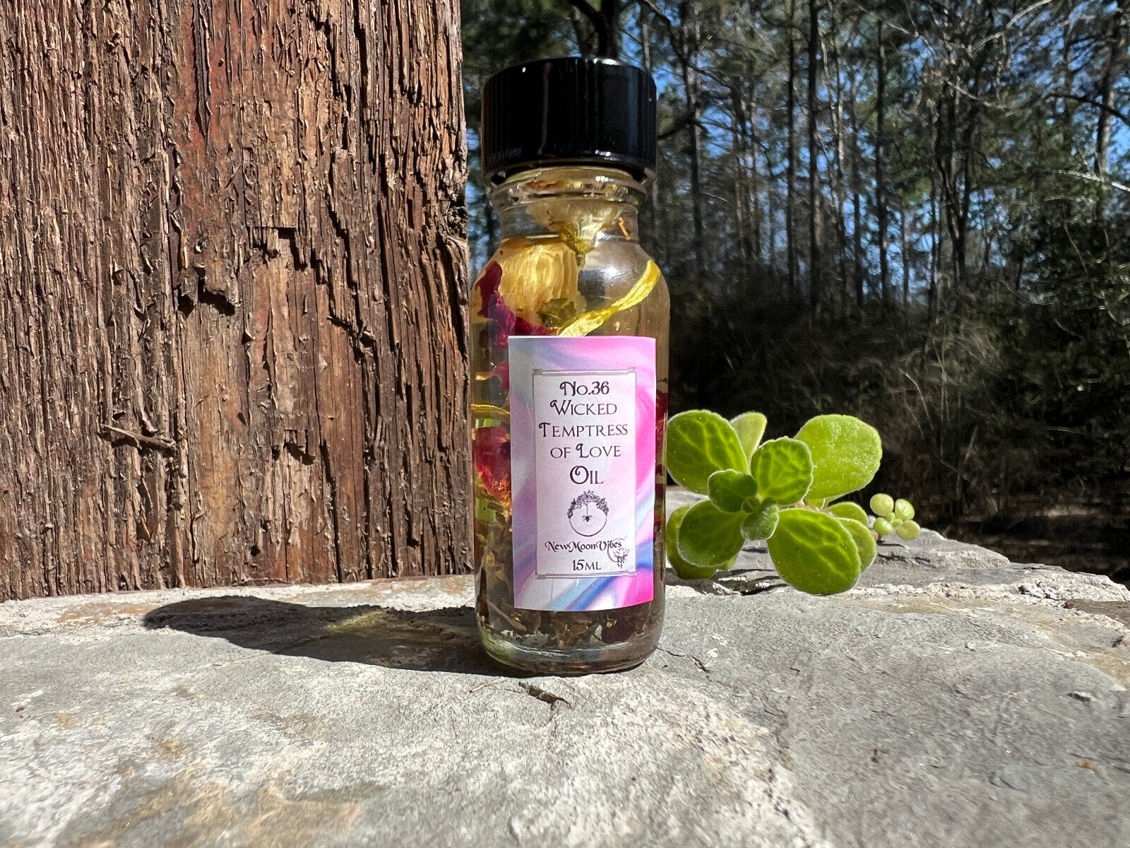Wicked Temptress of Love Oil Sex Appeal, Sensuality, Seduction Attraction Spells