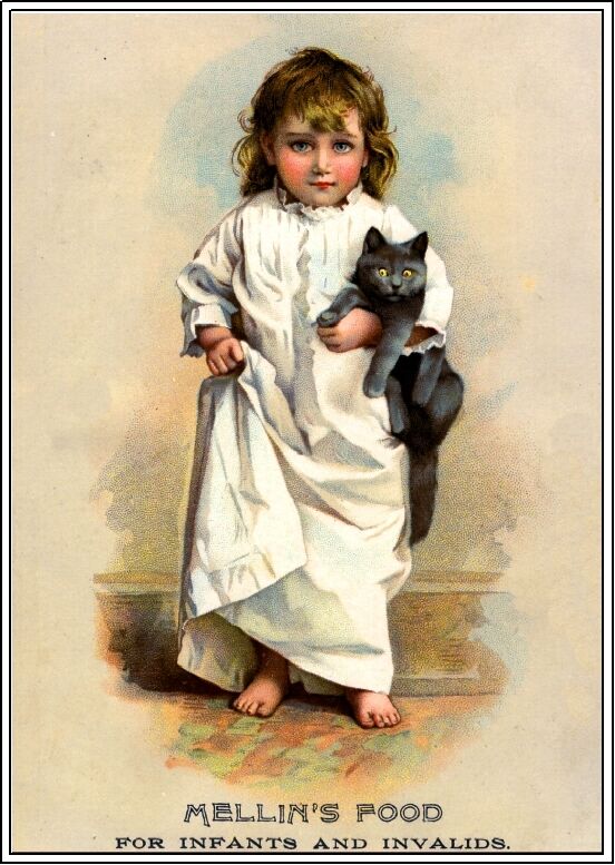 Beautiful Child & Gray Cat Victorian Trade Cards Poster Art Print Advertisement