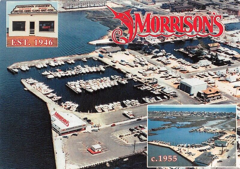 Morrison\'s Restaurant Beach Haven Continental Size Postcard