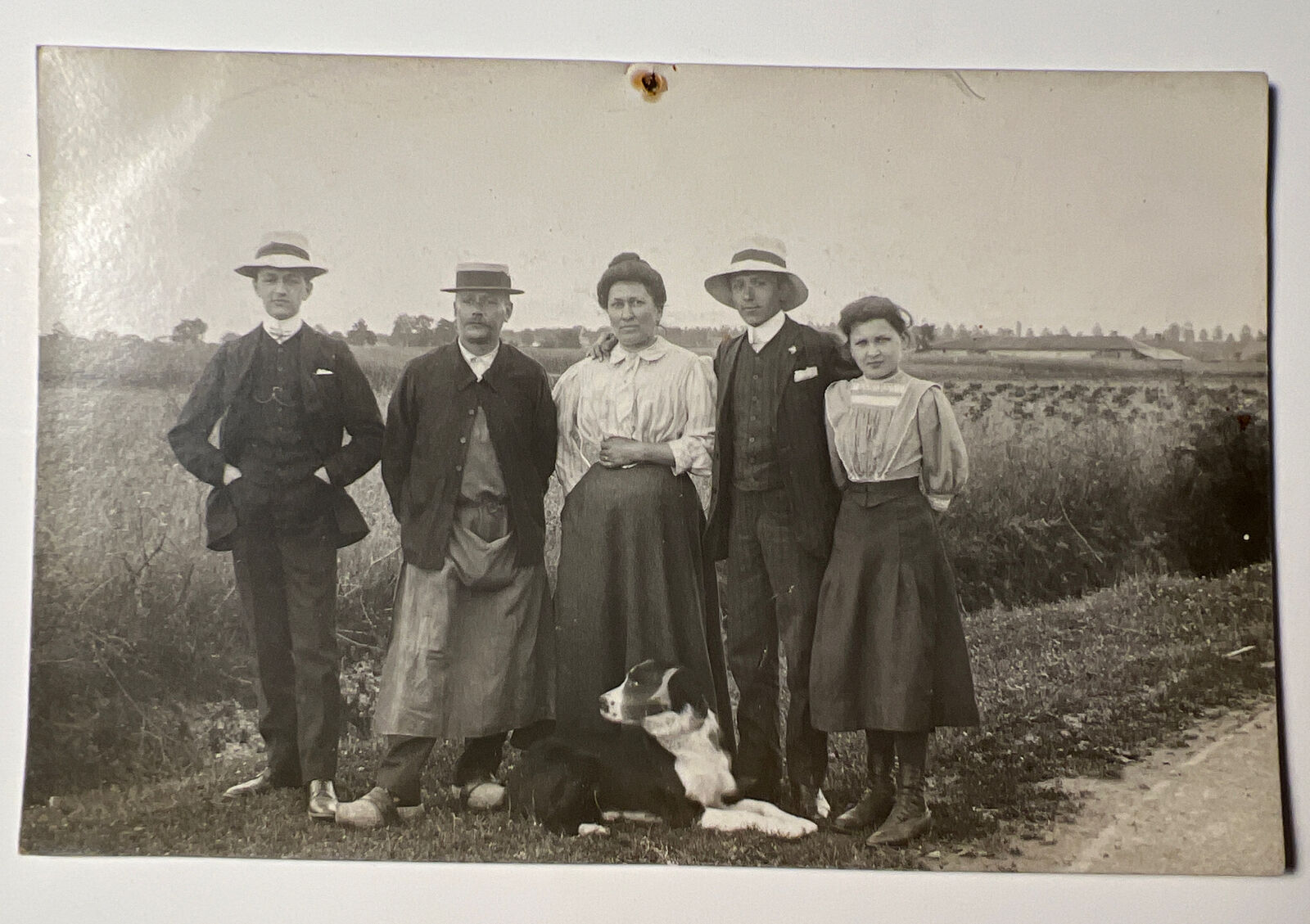 Bazaar 2 Headed Dog ￼Blooper Early 1900s RPPC Real Photo Postcard Group of 5