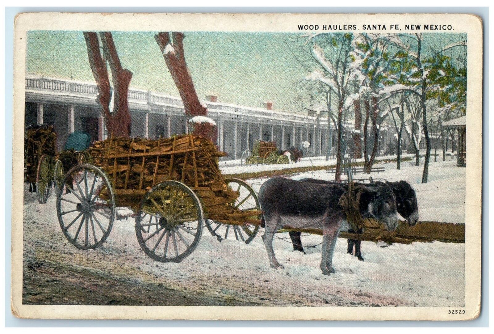 c1920\'s Wood Haulers Small Donkeys Market Winter Santa Fe New Mexico NM Postcard