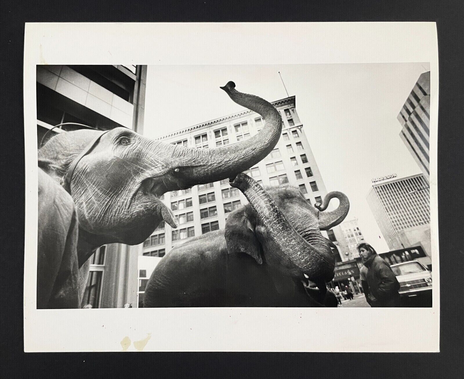 1989 Shrine Circus Elephant Parade St Paul Minneapolis Downtown VTG Press Photo