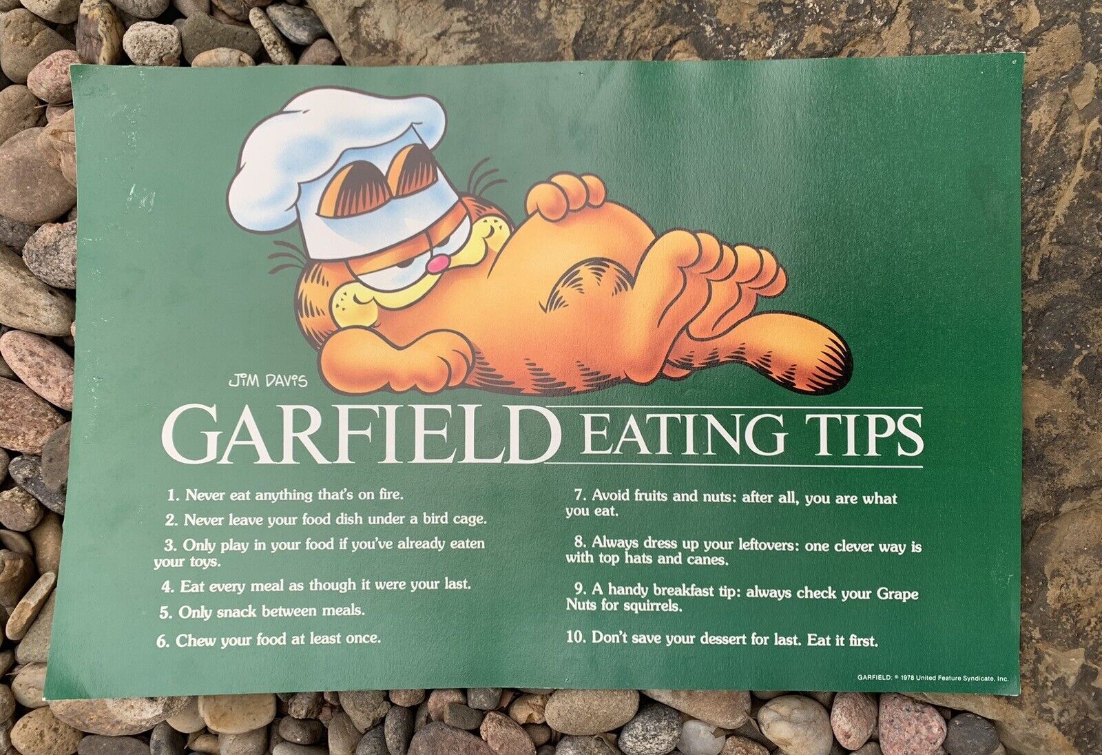 Garfield Vintage Argus Poster. Eating Tips. Okay Condition