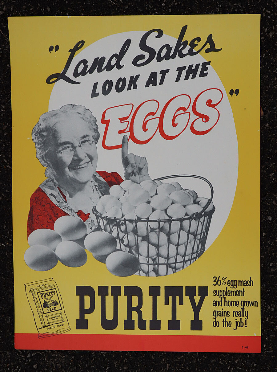 Vintage Original PURITY FEED EGGS Farm Lady Poster Sign  NOS Unused Urbana OH