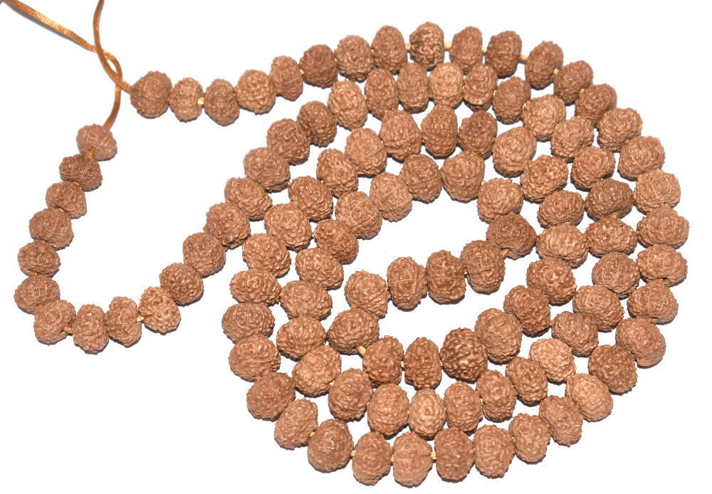 Rare 10 Mukhi Rudraksha Mala / Rare Narayan Mala – 109 Beads