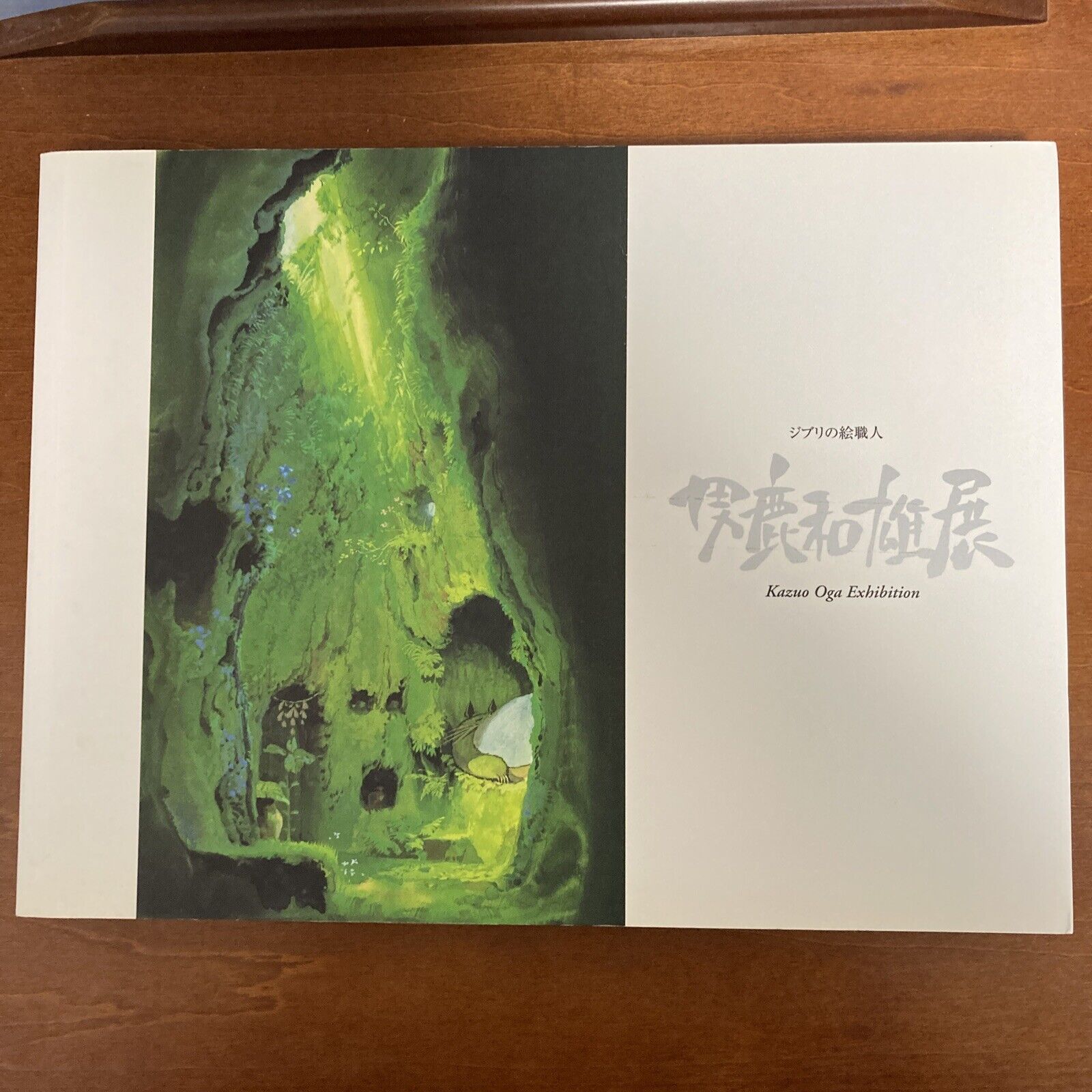 Studio Ghibli Kazuo Oga Exhibition Art Book Illustration