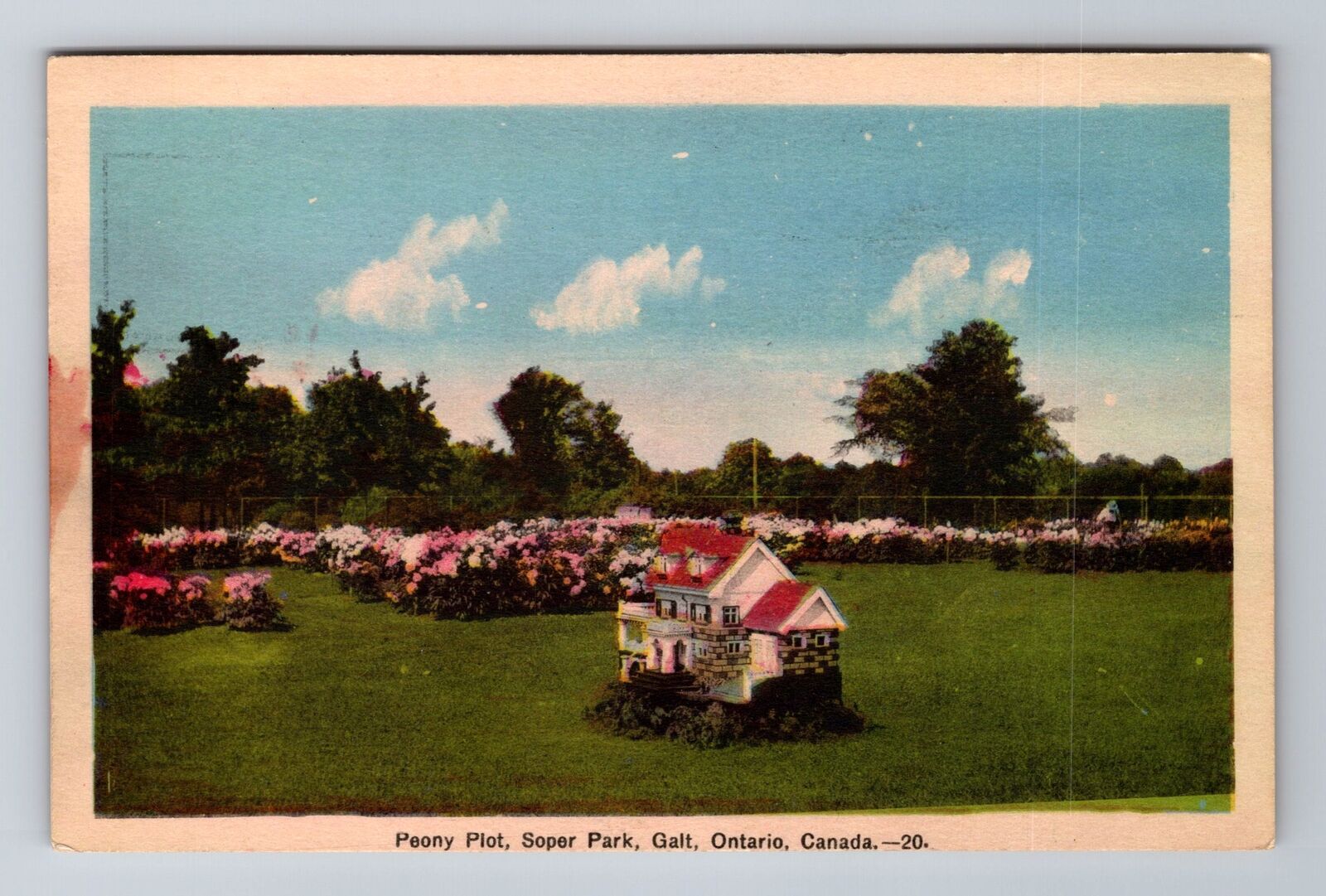 Galt Ontario Canada, Peony Plot, Soper Park, Antique Vintage Souvenir Postcard