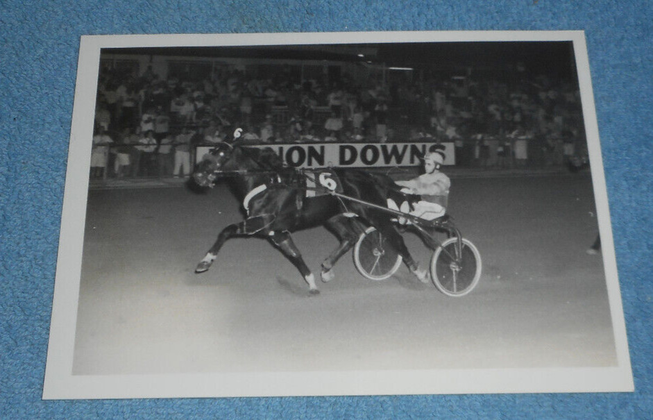 1991 Harness Racing Photo Horse MB Felty John \