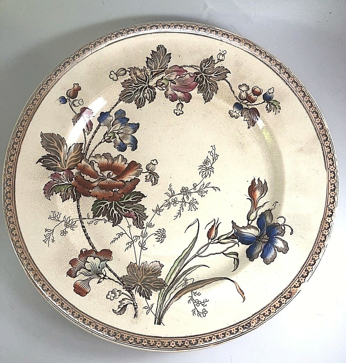 Brownfield Aesthetic Polychrome Texas Rose Floral Ironstone Plate 1850-1899