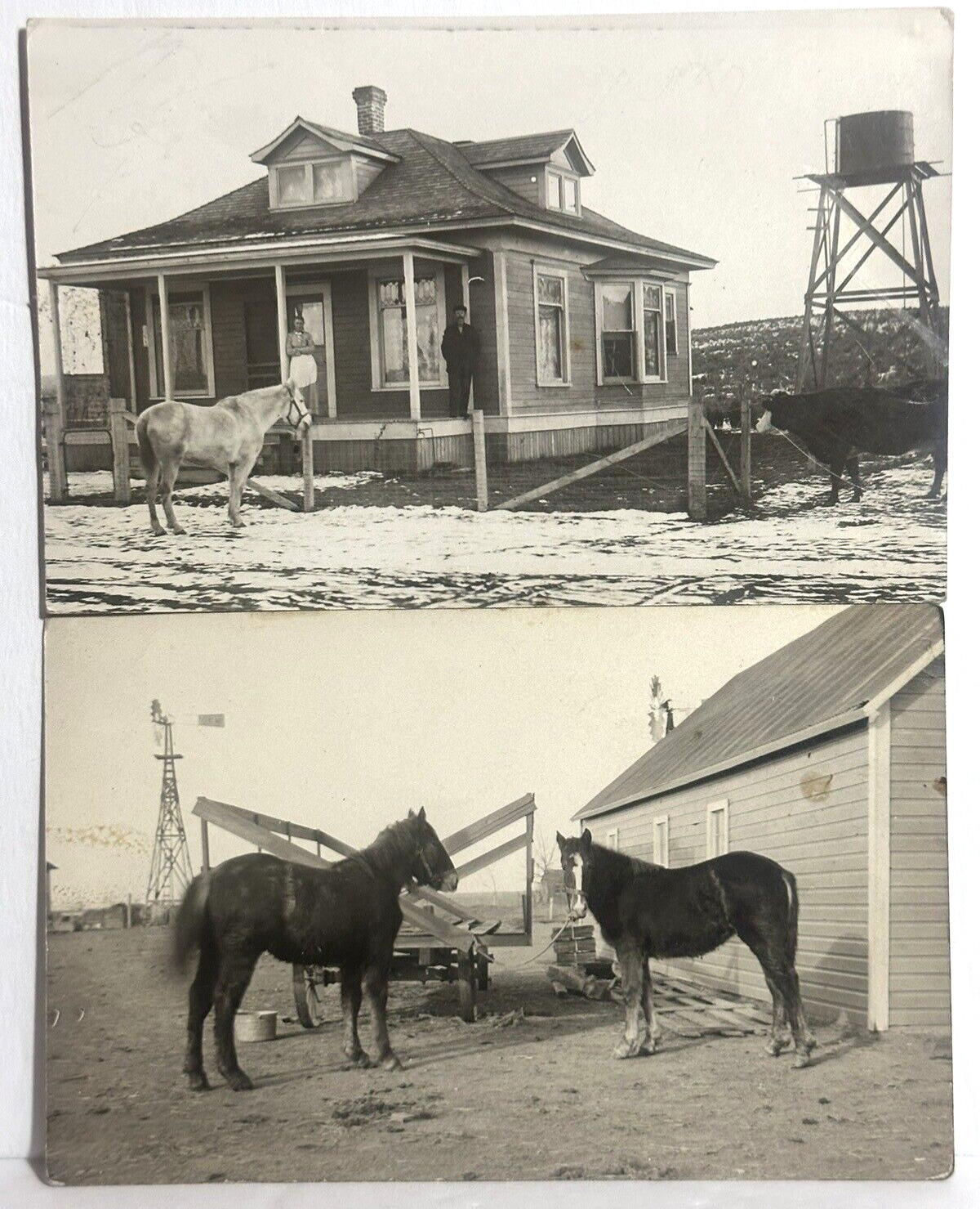 Horses Photo Postcard Rppc Unidentified Farm House Cow People On Porch Lot 2