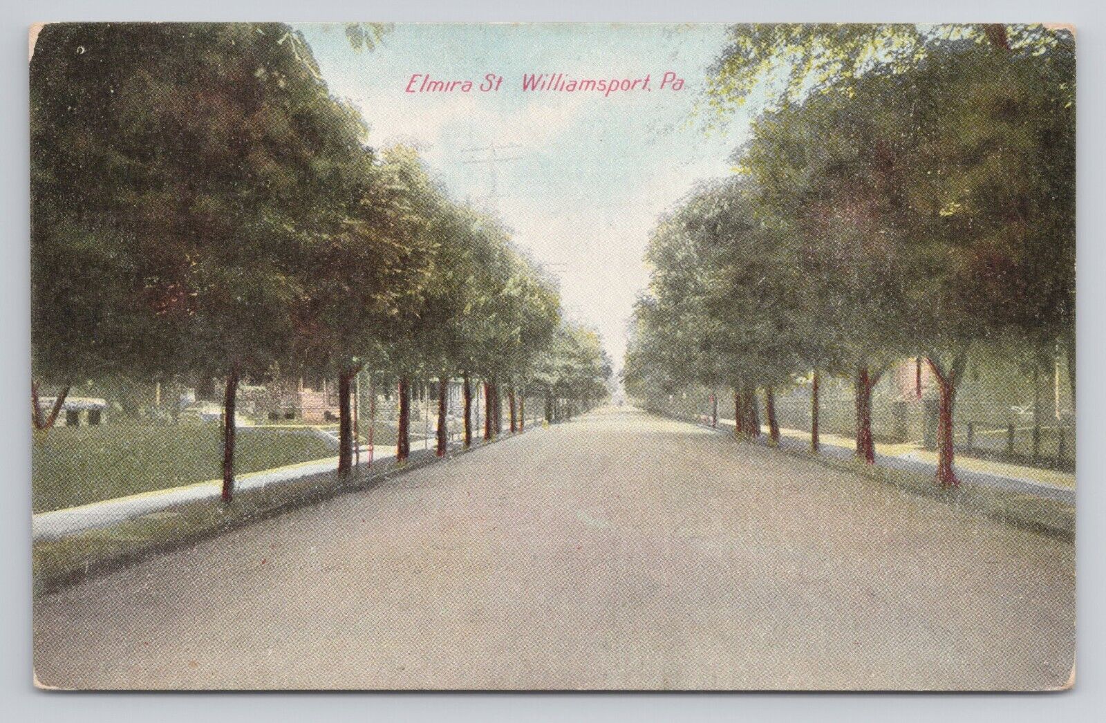 Elmira St Williamsport Pennsylvania c1907 Antique Postcard