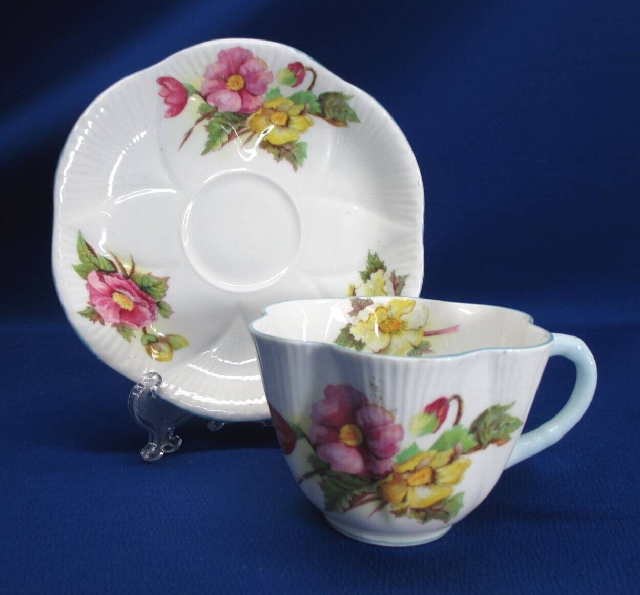 SHELLEY PORCELAIN BEGONIA DECORATED CUP AND SAUCER SET