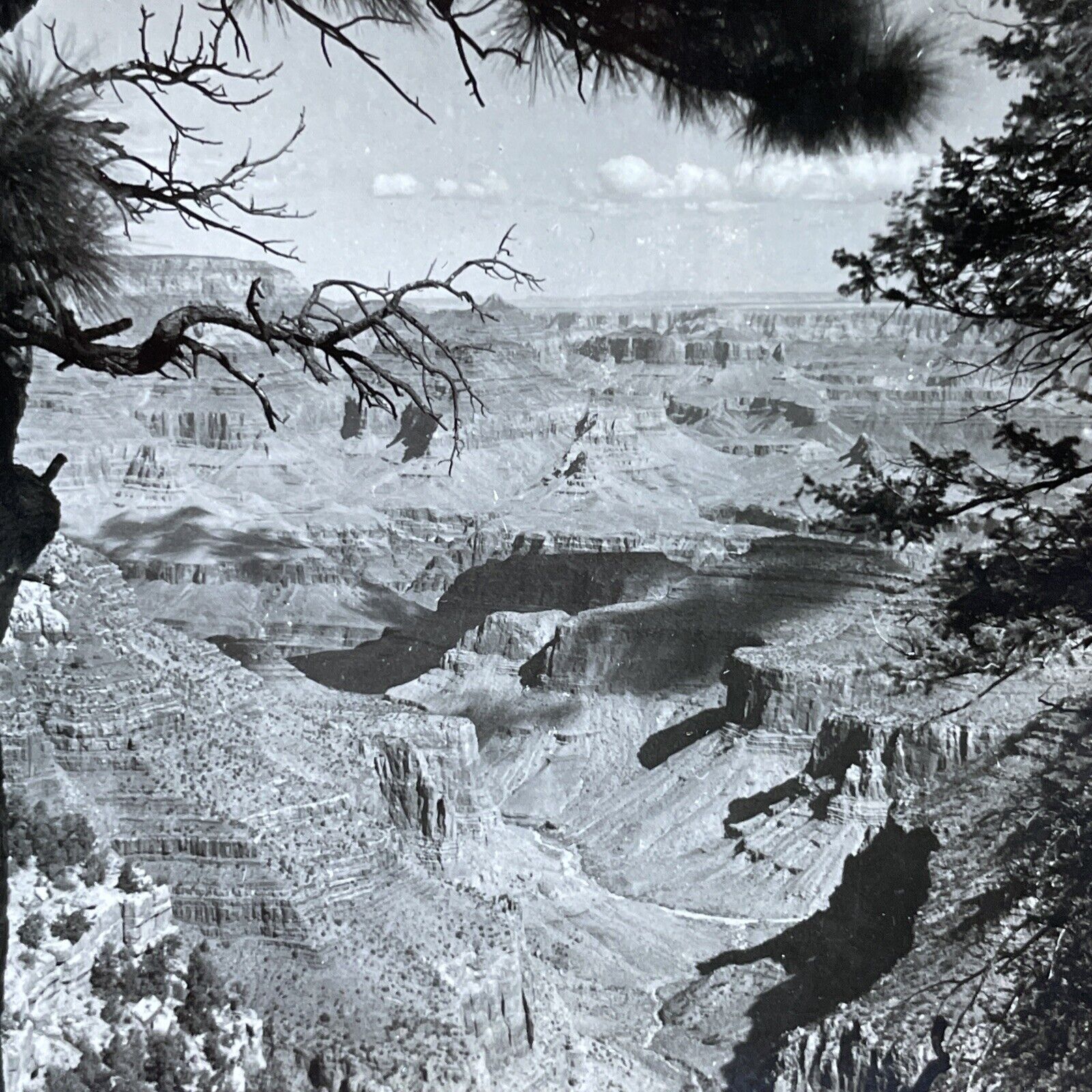 Antique 1920s Grand Canyon Arizona Vista View Stereoview Photo Card V1914