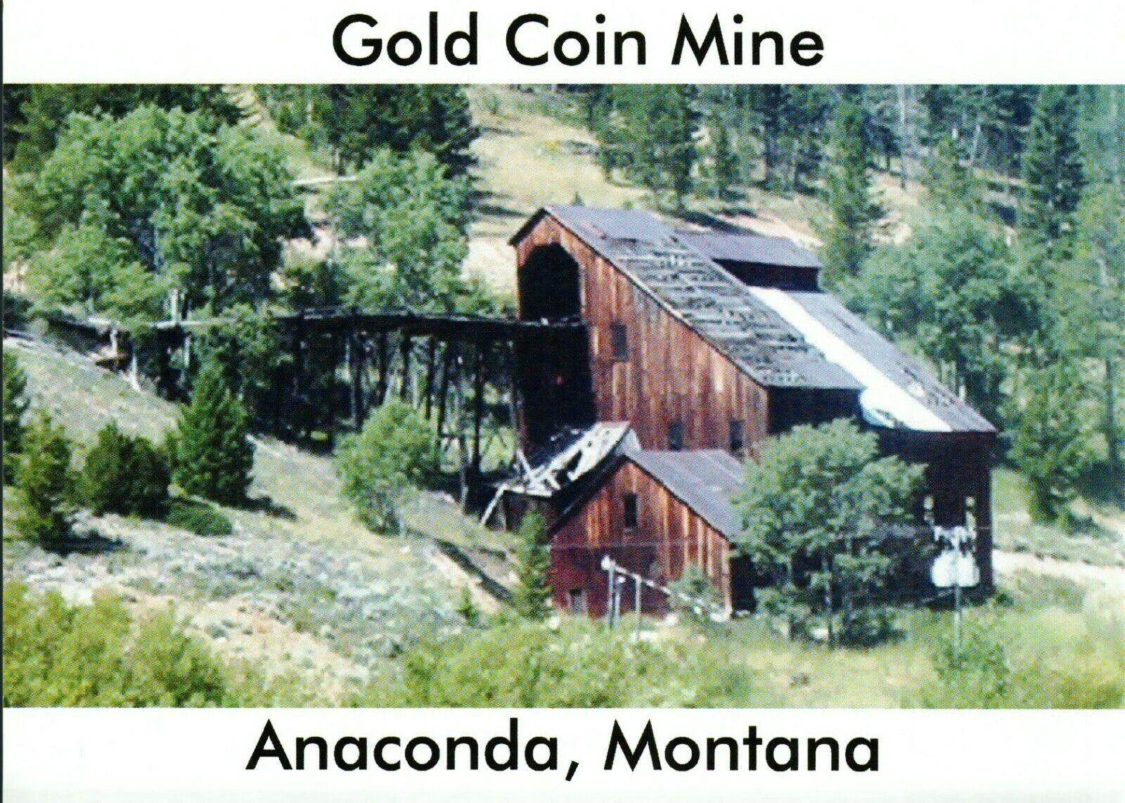 *Montana Postcard-\