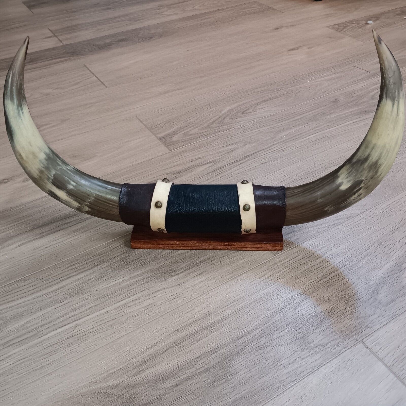Vintage Bull Horns Mounted Wall / Desk Steer Leather 22X13\