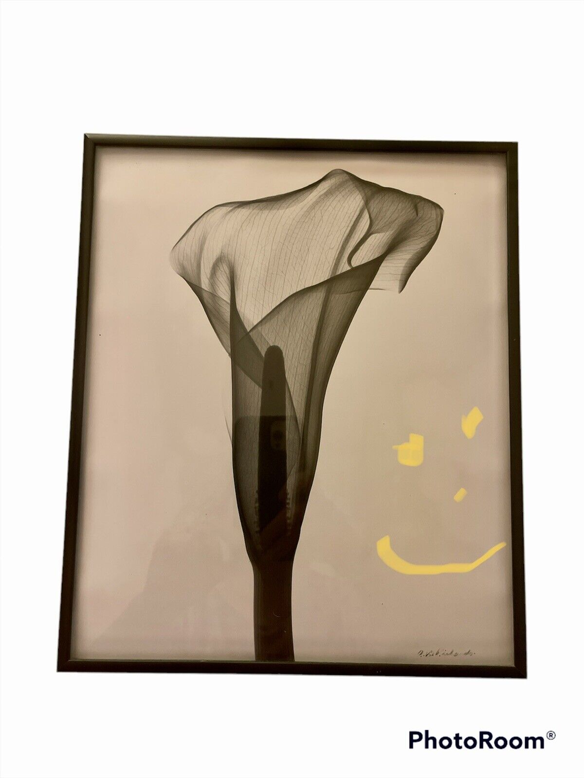 Albert G Richards photograph 8x10 X-ray Flowers Ann Arbor Radiograph