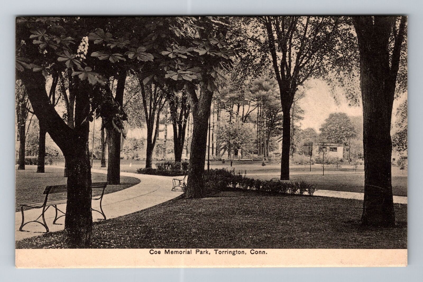 Torrington CT-Connecticut, Coe Memorial Park, Antique, Vintage Souvenir Postcard
