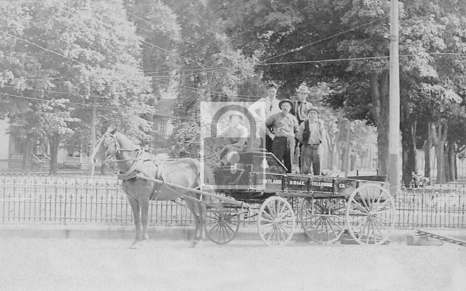Cortland Home Telephone Co Horse Wagon New York NY Postcard REPRINT