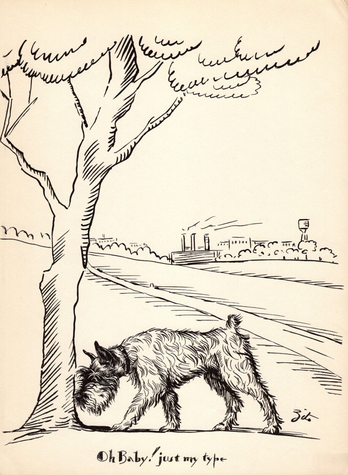 Antique Schnauzer Print 1930s Humorous Schnauzer Illustration Art by Zito 5280