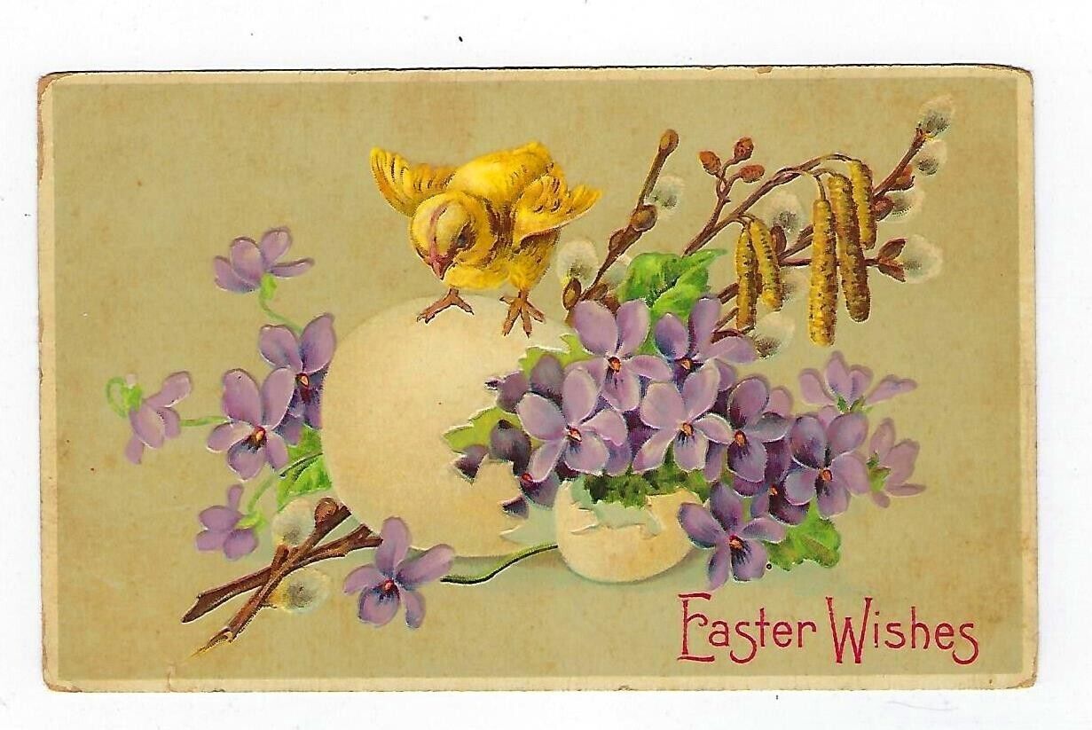1909 B.W. #351 Easter Postcard Chicks Hatched Egg & Forget-Me-Nots Embossed