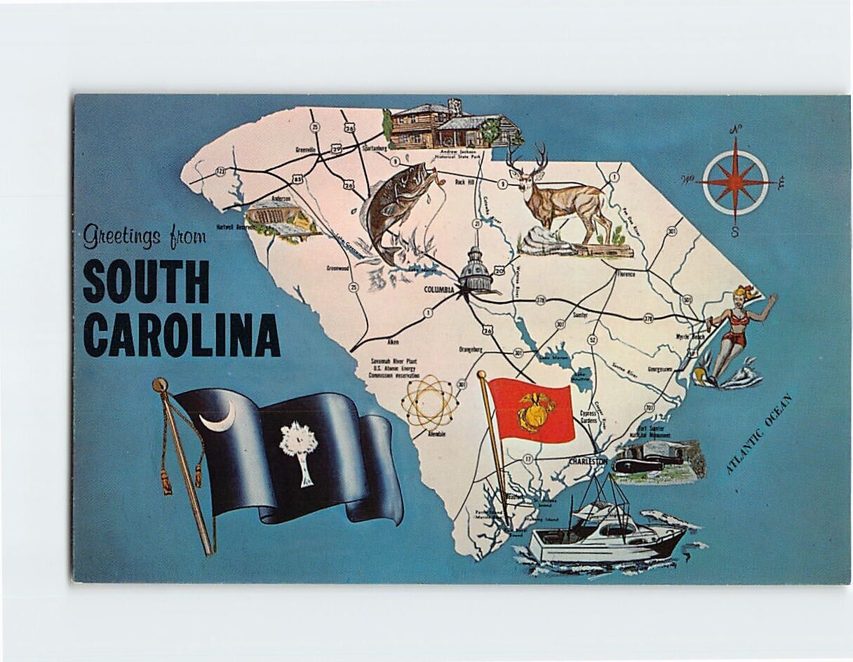 Postcard Greetings from South Carolina USA