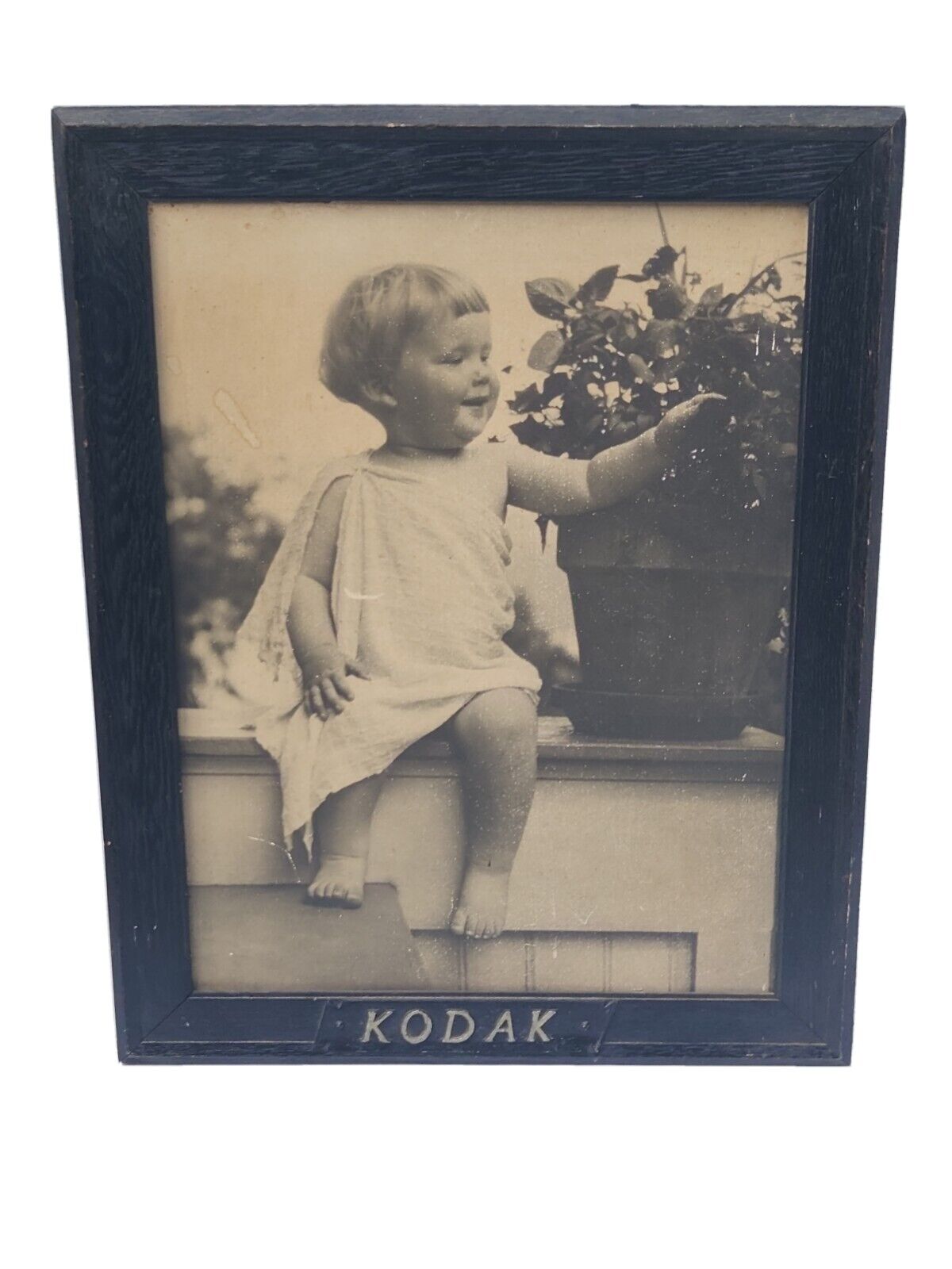 Rare Antique Kodak Store Display Framed Black White Print Advertisement Toddler 