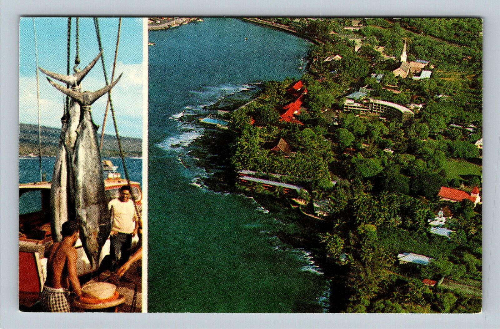Kailua-Kona HI, Aerial View, Marlin Fishing, Coastline Vintage Hawaii Postcard  