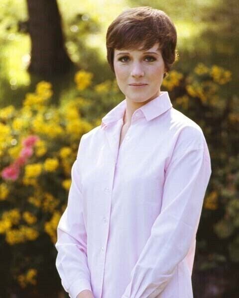Julie Andrews lovely 1960's smiling portrait in pink shirt 4x6 photo