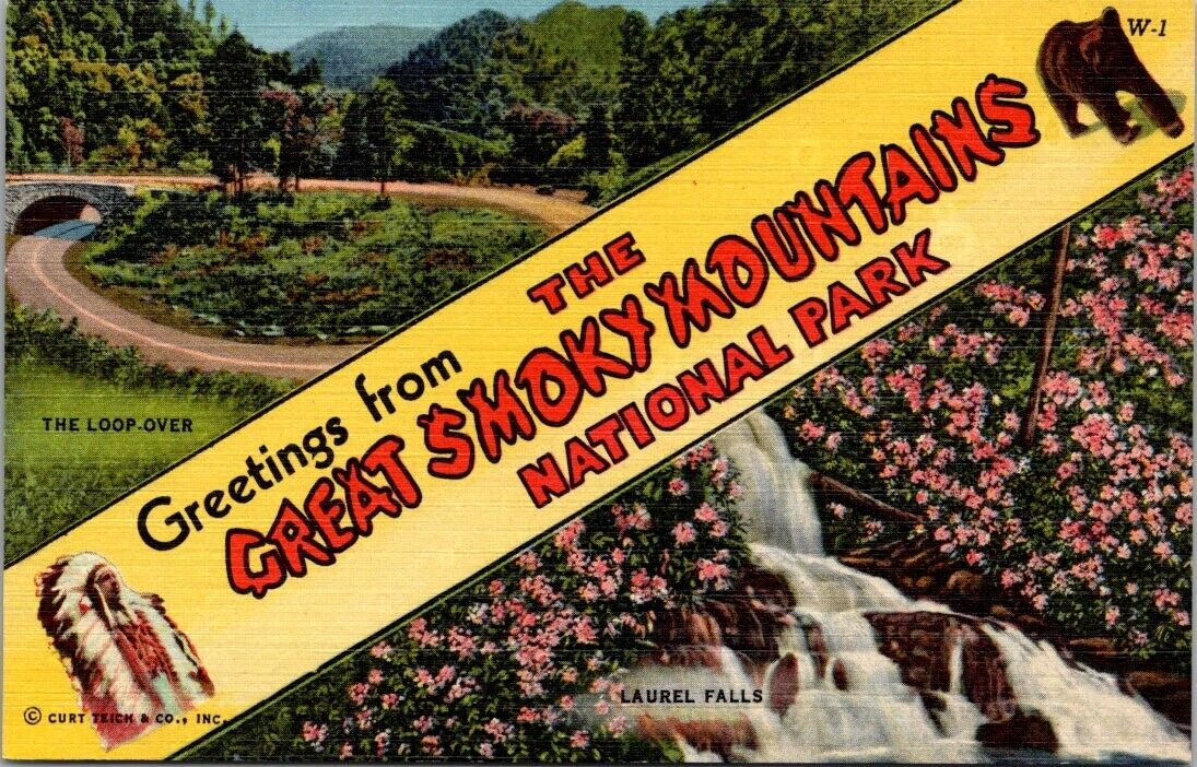 Greetings From The Great Smoky Mountains National Park Tennessee Vtg Postcard 