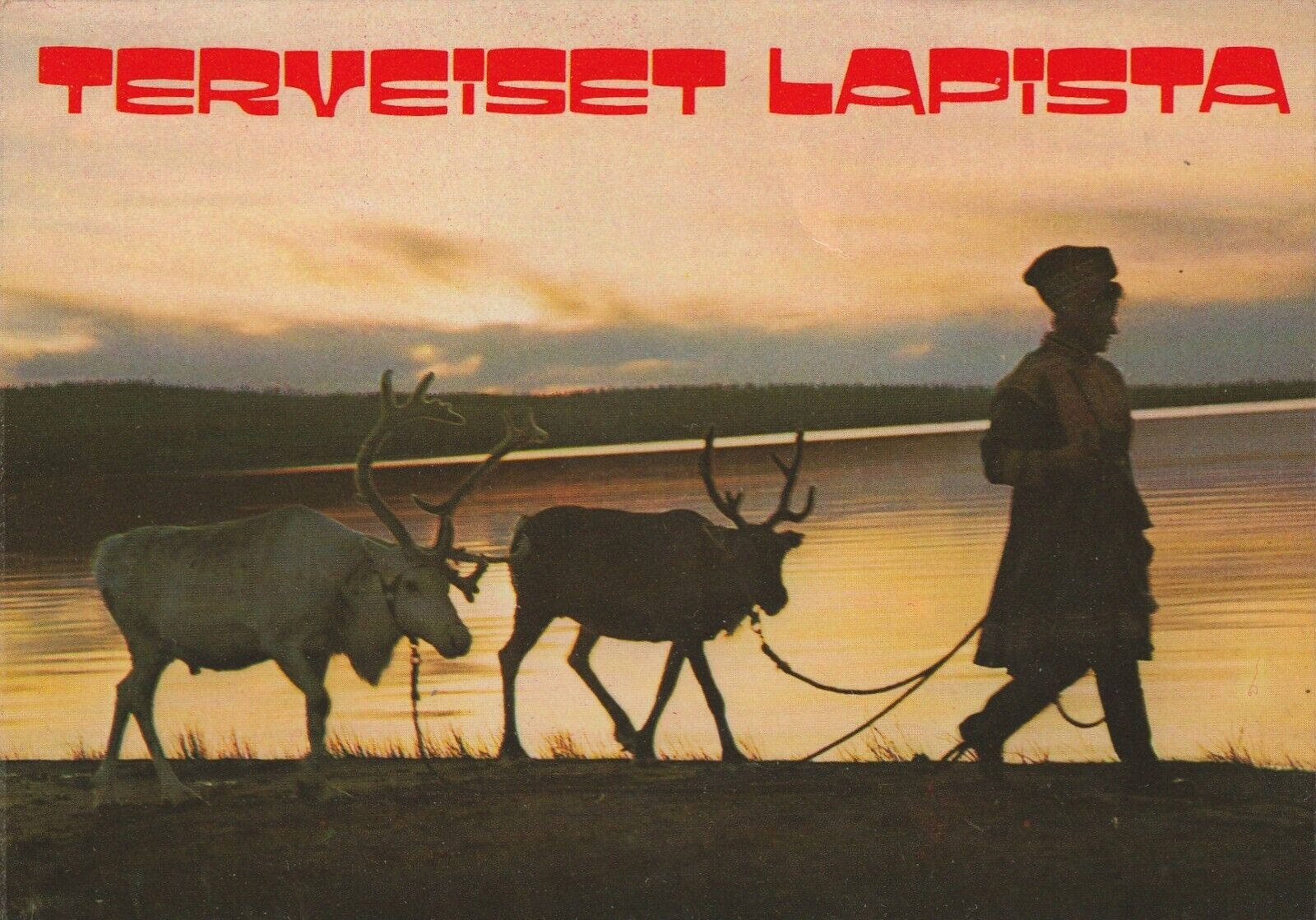 Vintage Postcard Terveiset Lapista Finland Unposted Photograph Lappland
