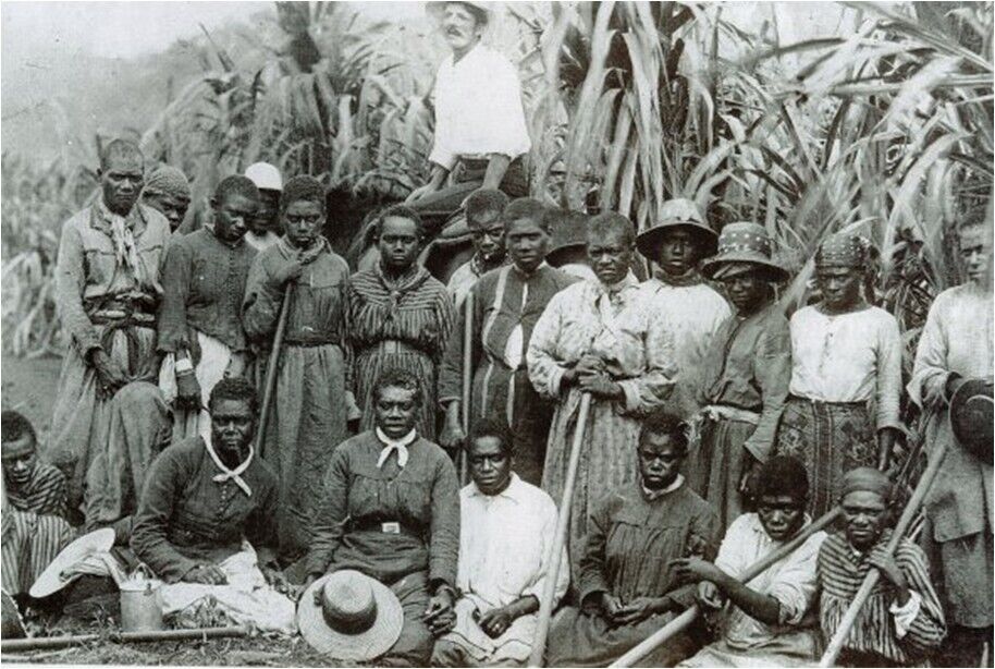African American Slaves on a Sugar CanePlantations  1860s  vintage 8 x 10  photo