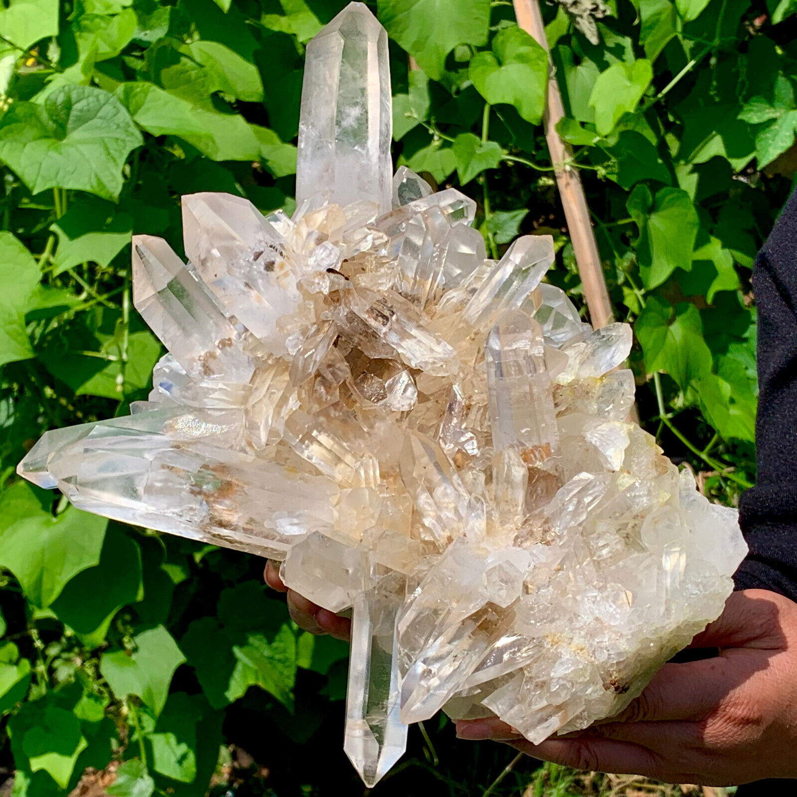 10.48LB Newly discovered white  Phantom Quartz Crystal Cluster mineral samples