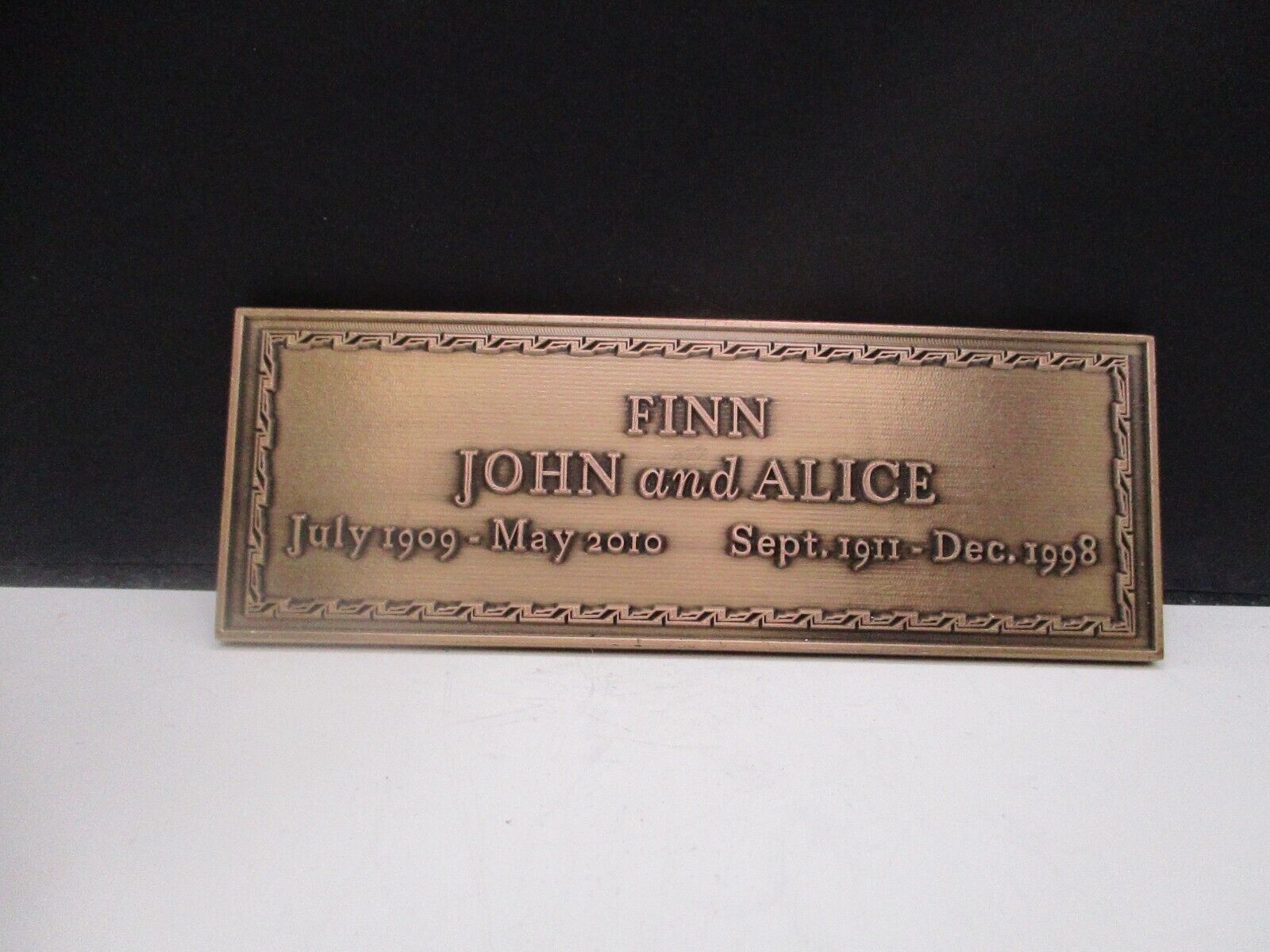 Navy Medal of Honor CPO John Finn Ordnance IYAOYAS Memorial #\'d Challenge Coin