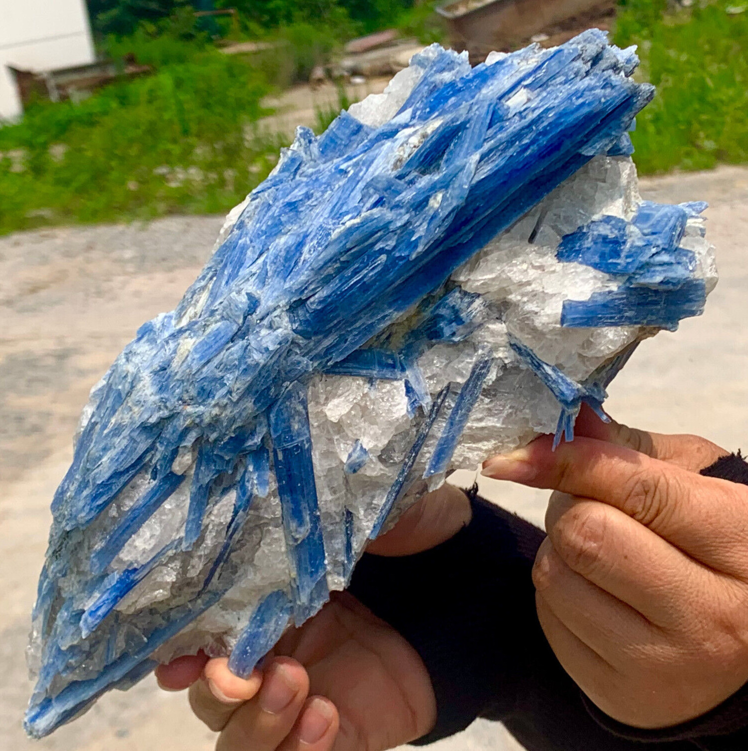 3.4LB  Rare Natural beautiful Blue KYANITE with Quartz Crystal Specimen Rough