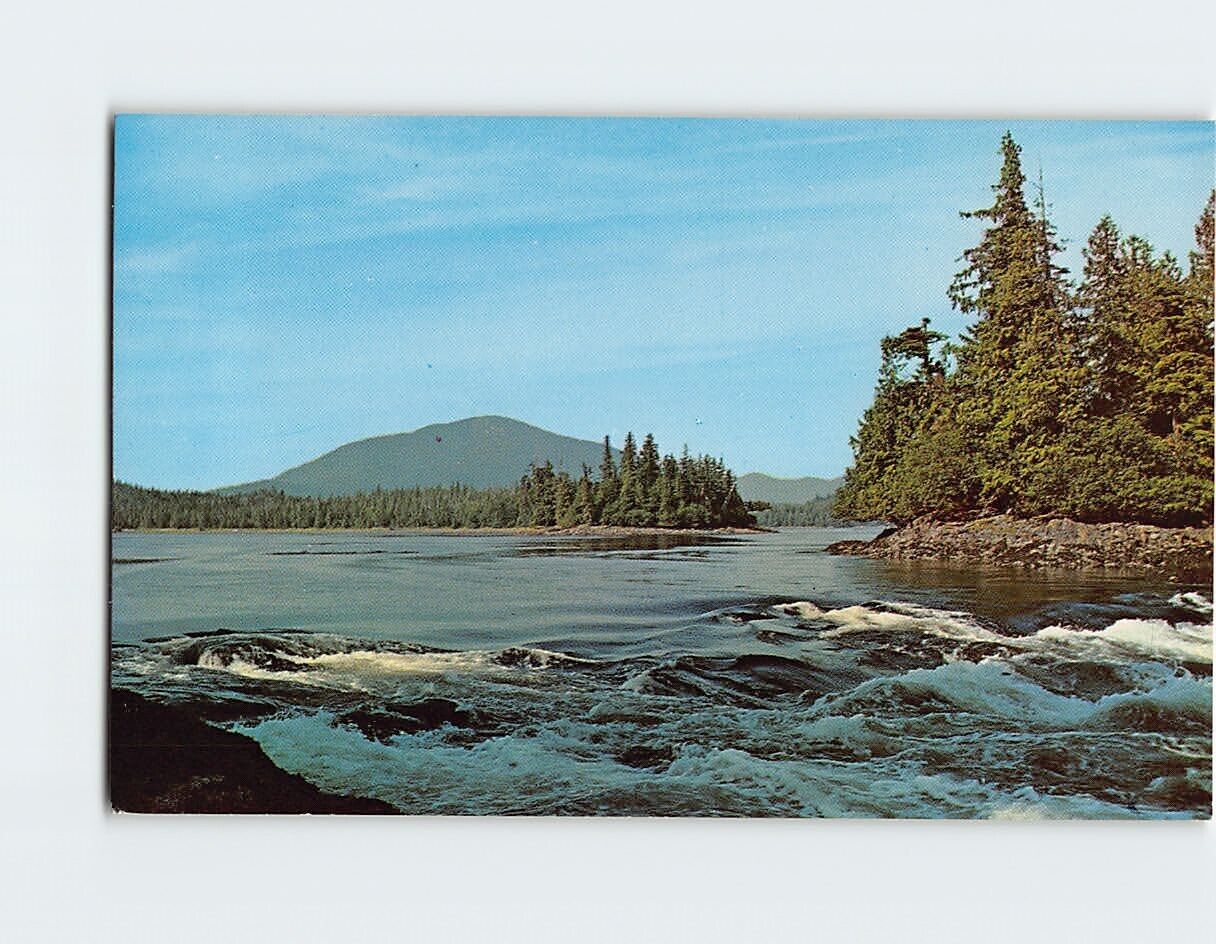 Postcard Butze Rapids British Columbia Canada