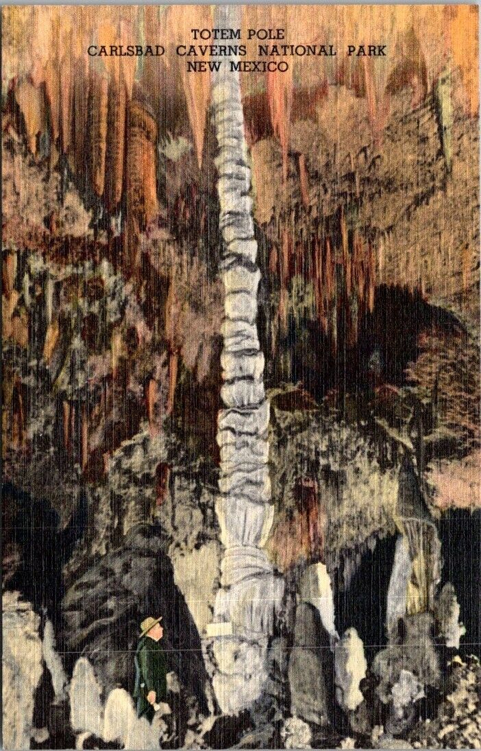Carlsbad New Mexico NM Totem Pole Carlsbad Caverns National Park VTG Postcard