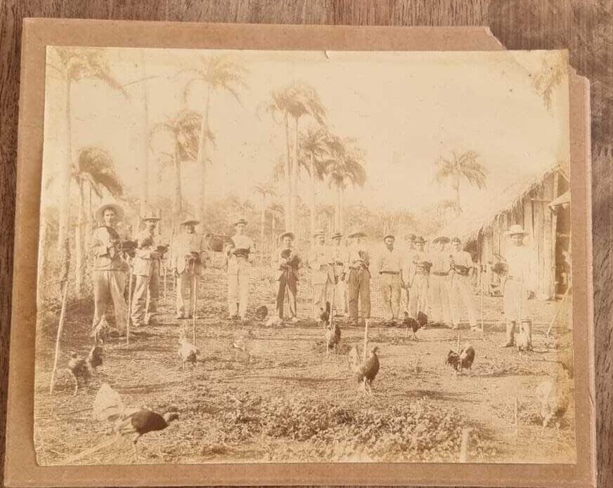 CUBAN SPAN AM WAR MAMBISES FIGHT COCKS SUPER RARE PORTRAIT 1880s ORIG PHOTO 60