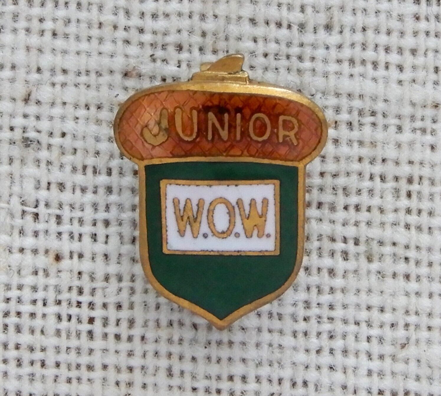 Vintage Woodmen of the World Lapel Pin Organization Junior Acorn Enamel