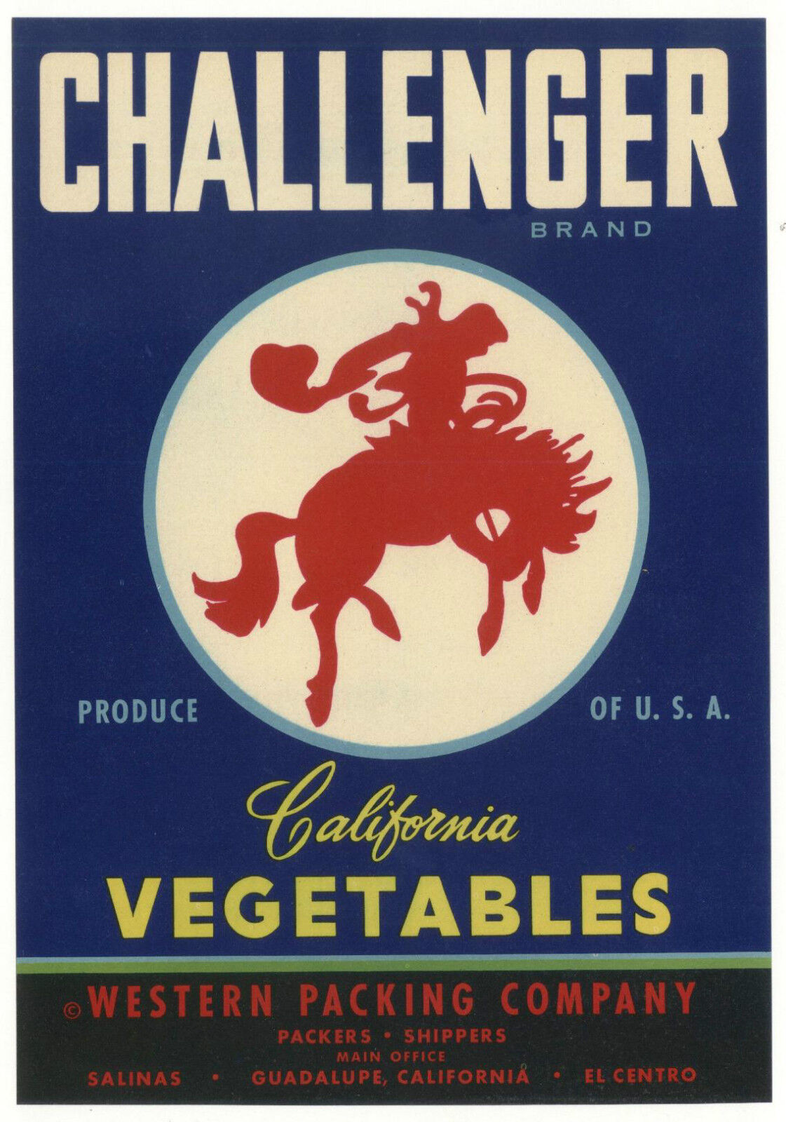 *Original* CHALLENGER Cowboy WESTERN Horse BUCKING BRONCO Vegetable Crate Label