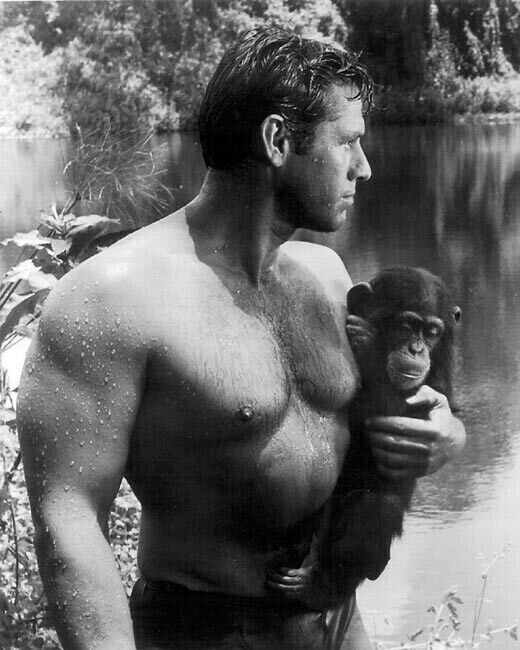 Gordon Scott with wet hair as Tarzan holding Cheetah 24x36 inch Poster