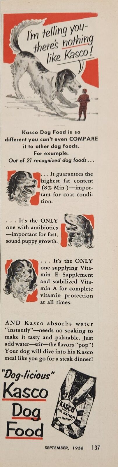 1956 Print Ad Kasco Dog Food Cartoon Hunting Dog & Hunter 