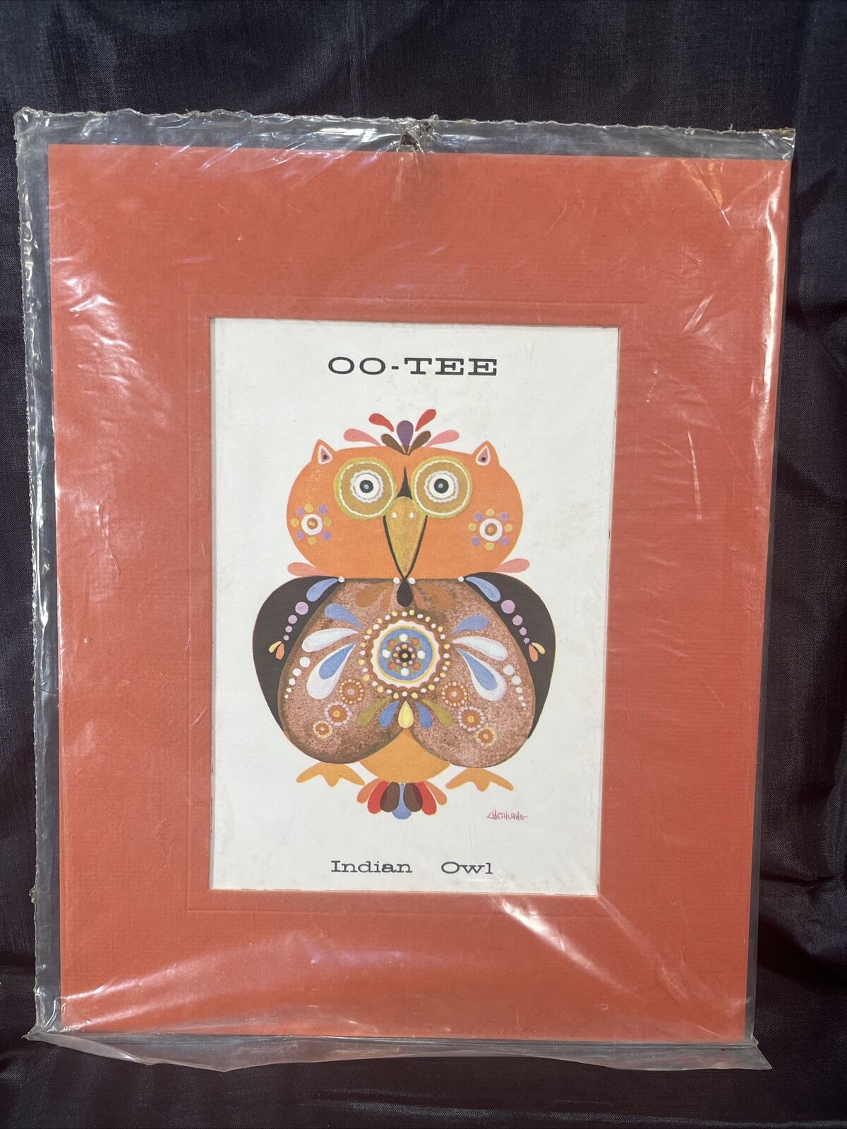 RARE DAVID CHETHLAHE PALADIN Indian Owl “Oo-Tee” Matted-Print #P 40-17 Saga Inc