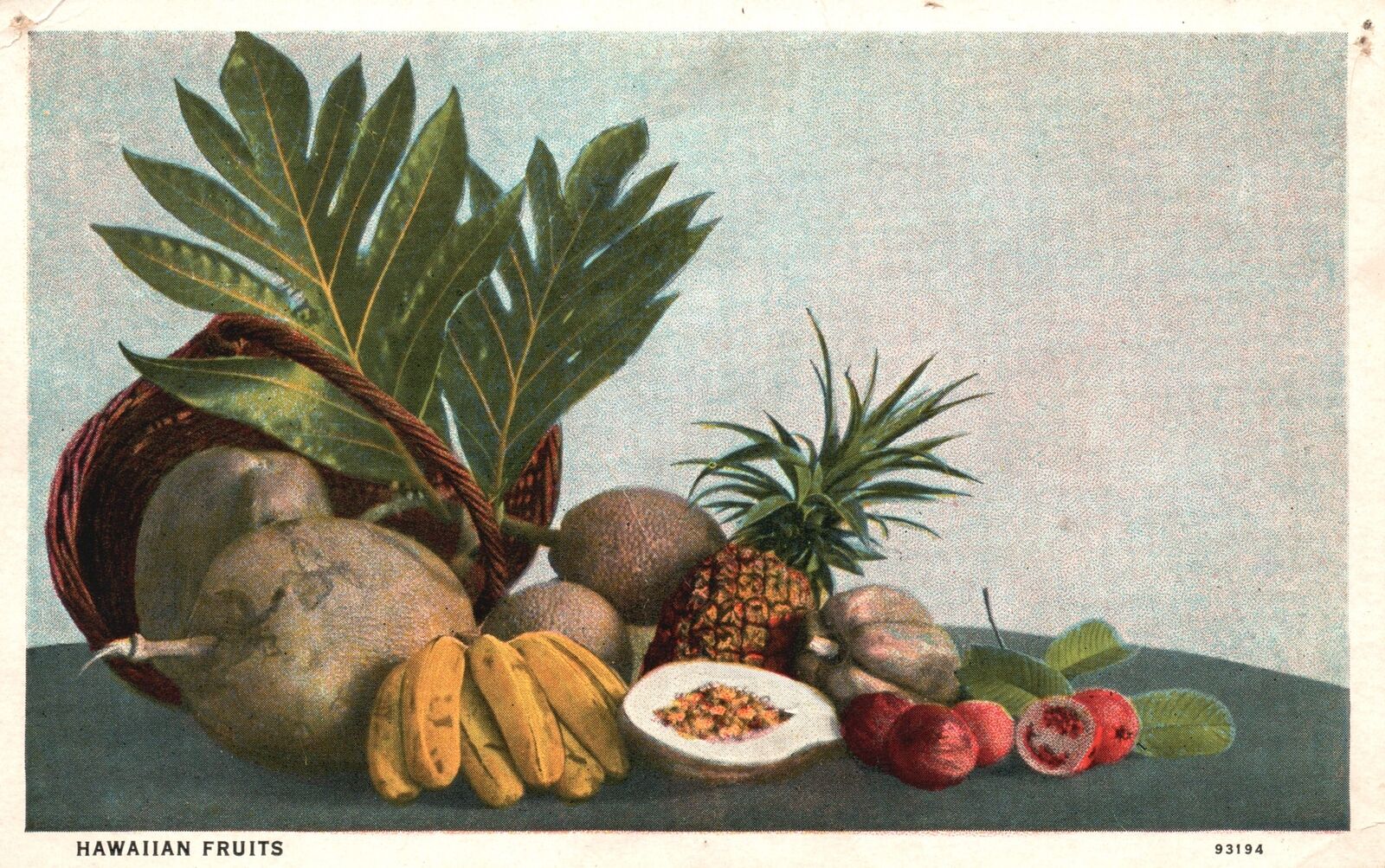 Hawaiian Kreutz Native Varieties Of Papaya Mango Breadfruit Coconut HI Postcard