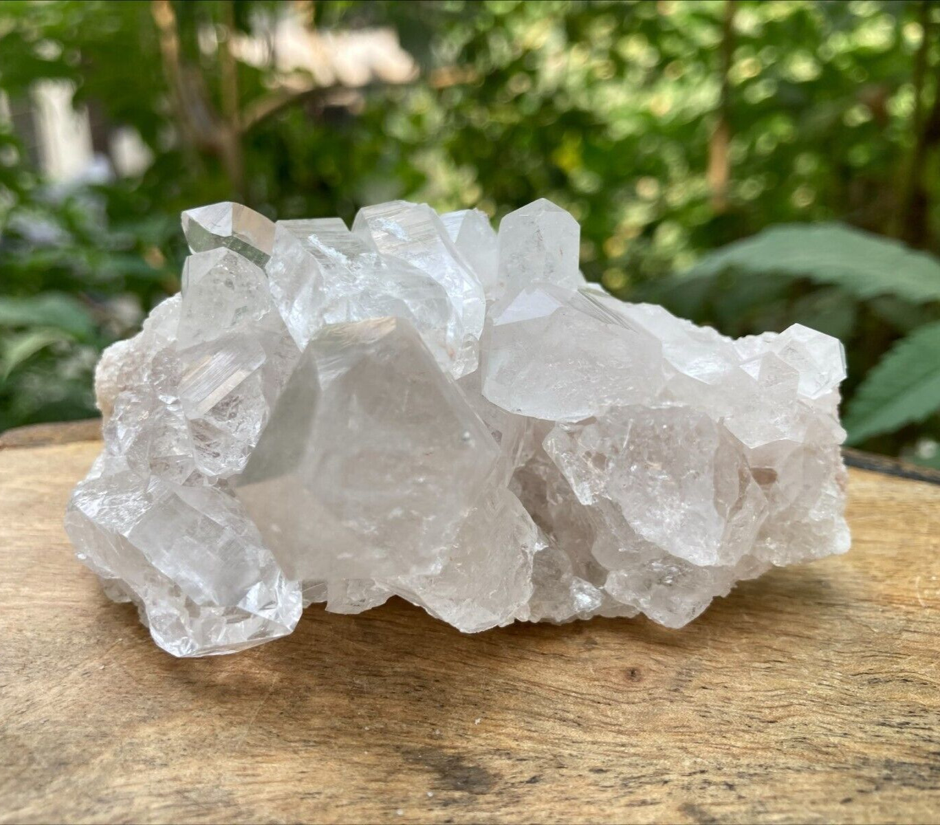 Natural Clear White Himalayan Samadhi Quartz 170g Rough Crystal Minerals Stone