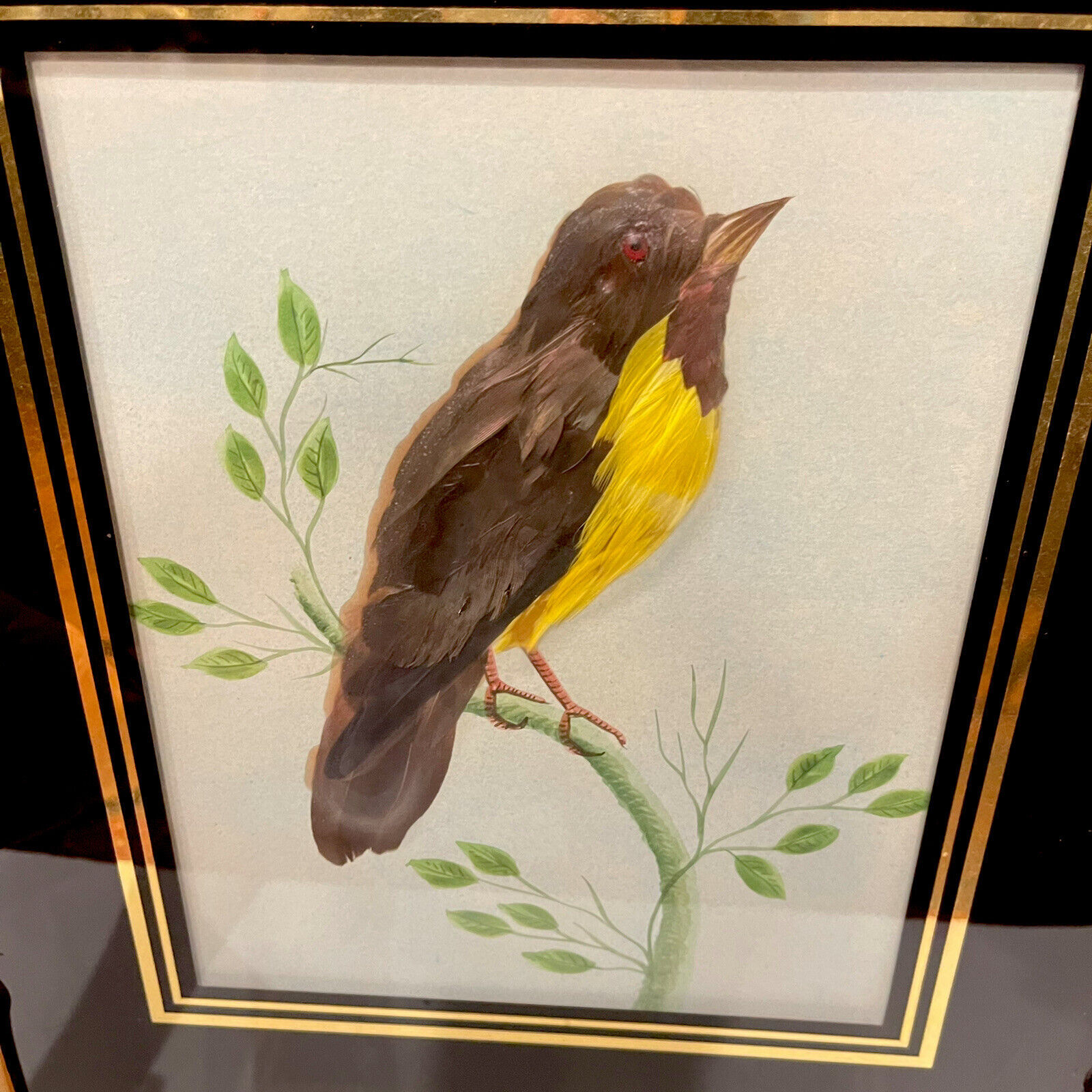 Vintage Real Nice Framed Brown Yellow Bird Feather Art Picture 14.25”X 16” Frame