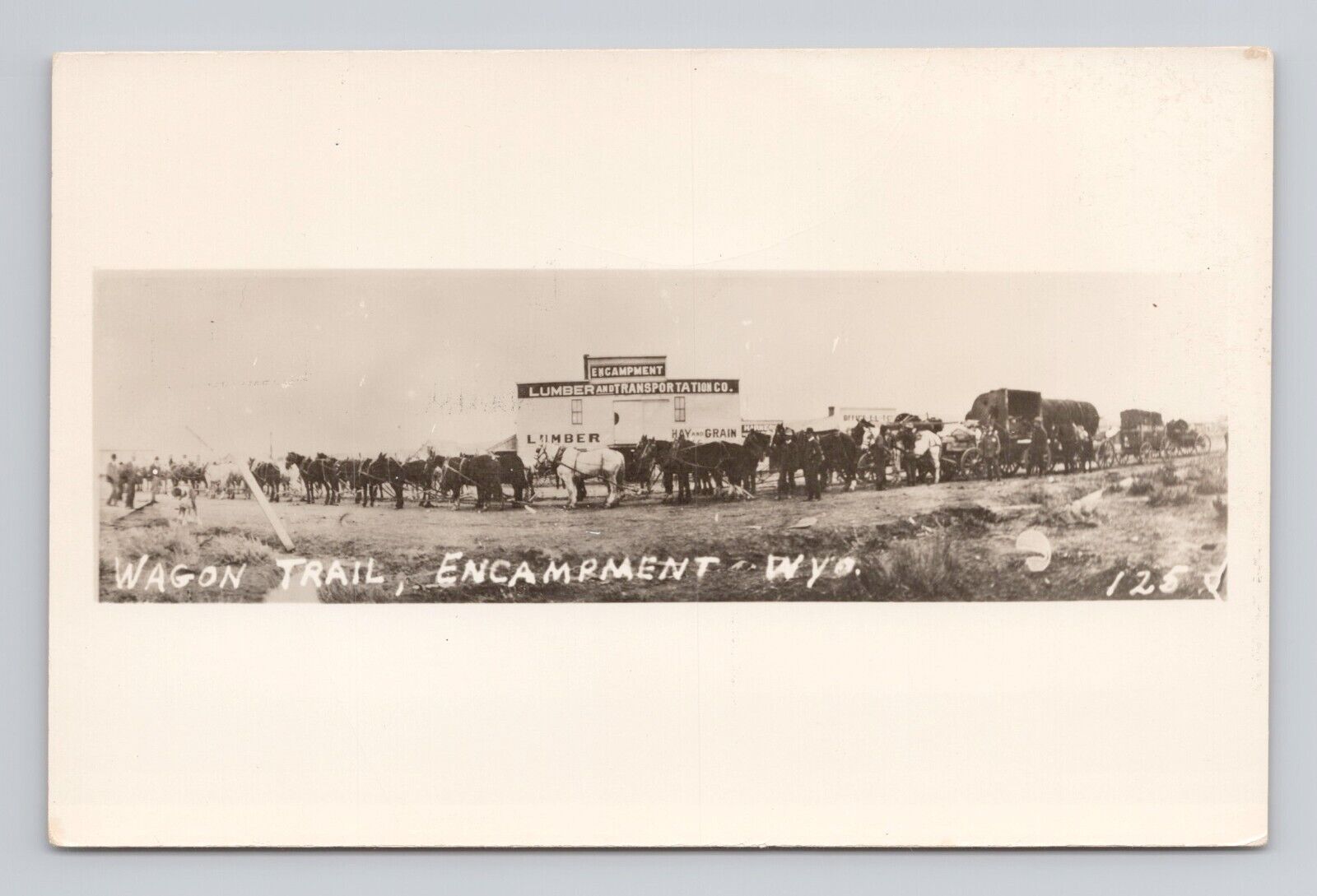 Postcard RPPC Wagon Trail Encampment Wyoming Lumber and Transportation horses