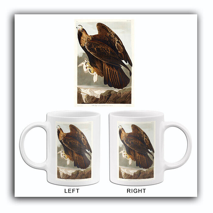 Golden Eagle - 1827 - Illustration Mug