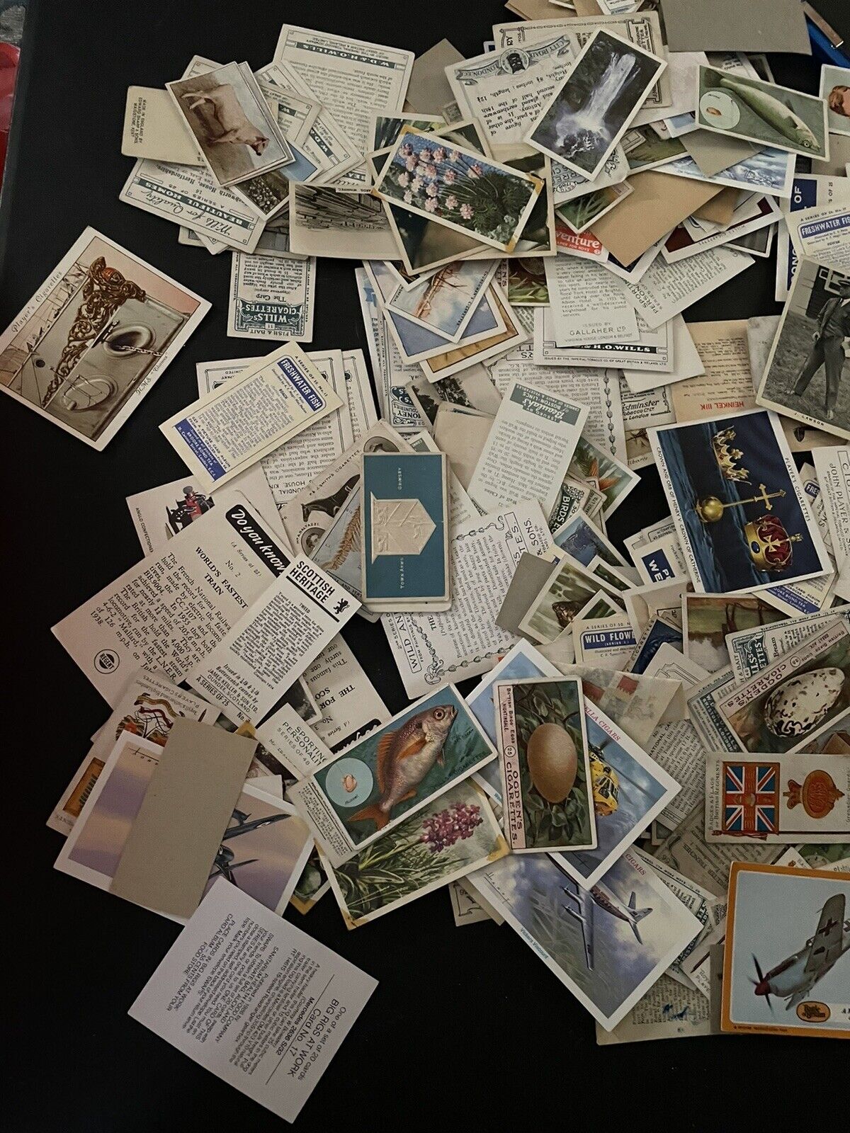 lot of 100 x Old tobacco/cigarette cards Like Seen In This Photo Giant Lot
